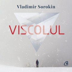 Literatură rusă - Ebook Viscolul - Vladimir Sorokin - Curtea Veche Publishing