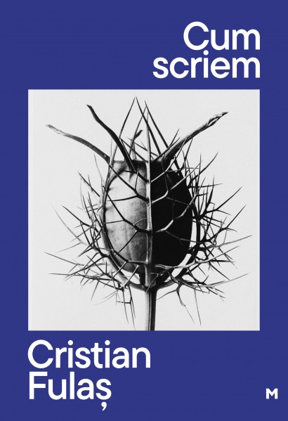 Cristian Fulaș - Cum scriem - Curtea Veche Publishing