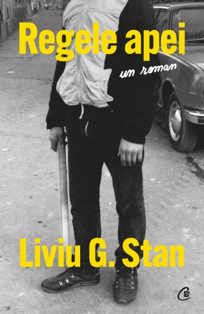 Liviu G. Stan - Carte ficțiune-Regele apei - Curtea Veche Publishing