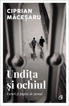 Cărți - Undița și ochiul - Ciprian Măceșaru - Curtea Veche Publishing