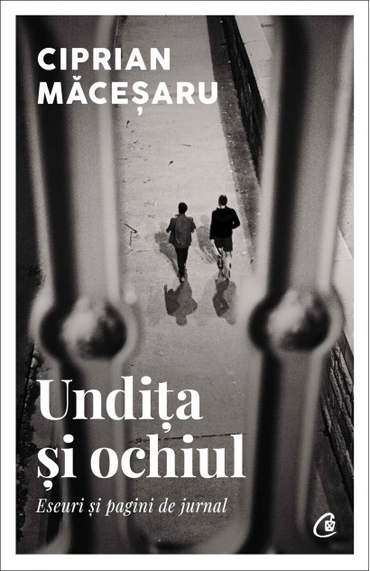 Ciprian Măceșaru - Undița și ochiul - Curtea Veche Publishing